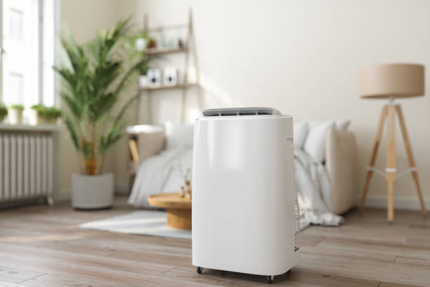 Best HVAC Air Duct Cleaning  in Mountain Lake, MN